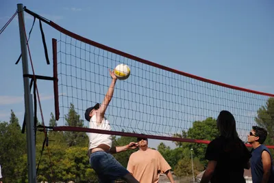DSC_0015 (Large).JPG